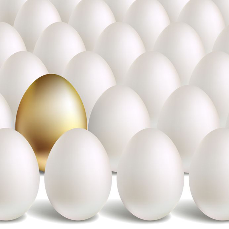 A golden egg amidst white eggs  symbolizing that differences does not equate to rejection.