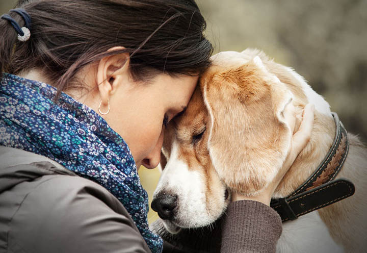 A beautiful woman is consoled by her dog after a breakup.