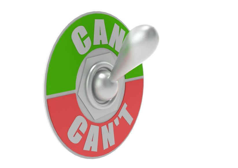 can or can t toggle switch